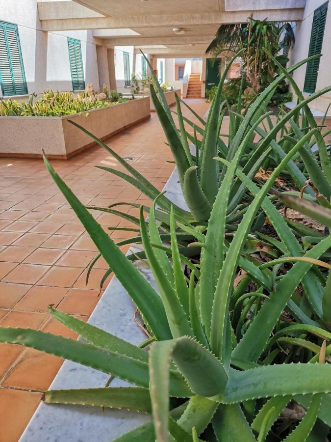 Balancon Pool Apartment El Medano  Luaran gambar